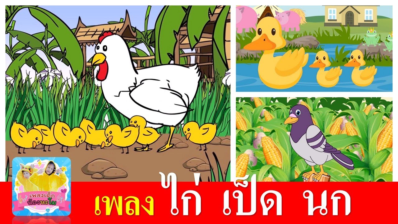 เพลงเด็กในตำนาน ไก่ เป็ด นก | กุ๊กไก่ | เป็ดอาบน้ำในคลอง | นกเขาบินข้ามเขา