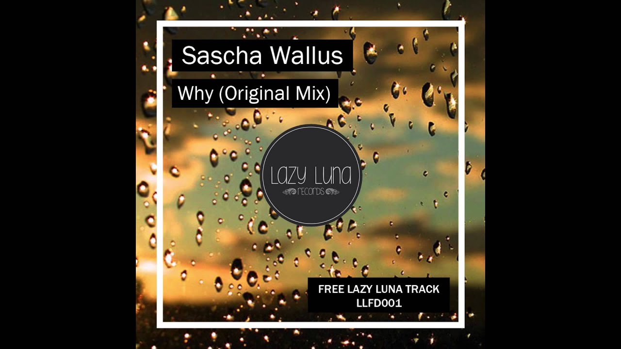 Sascha Wallus - Why (Original Mix)