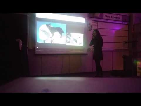 WORST PRESENTATION