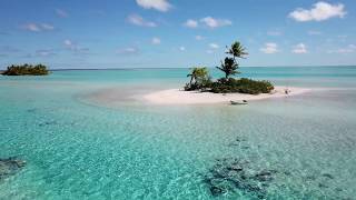 The Amazing Thing About Coral