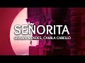Shawn Mendes, Camila Cabello ‒ Señorita (Lyrics) M ike Remix