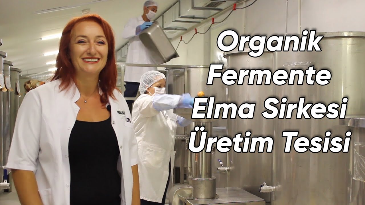 organik fermente elma sirkesi yeni fabrika fermente mutfagim uretim youtube elma sirkesi elmalar bitkisel tarifler