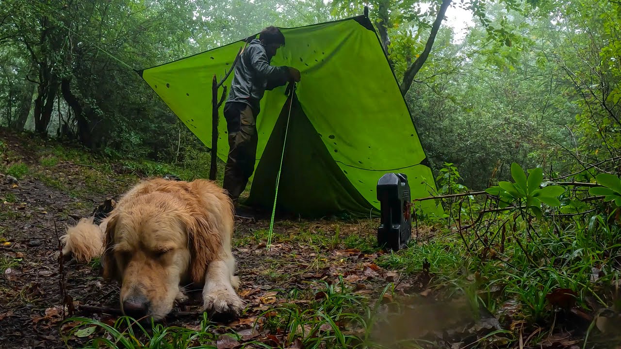 کمپ در جنگل مه آلود و بارانی / لونه کنار آتیش