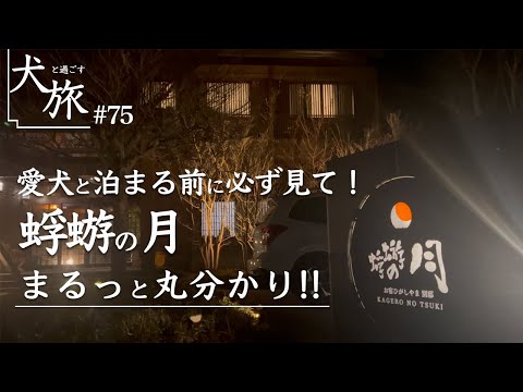 【蜉蝣の月｜那須高原】愛犬と泊まれる限定2室の隠れ家お宿を大解剖！これを見れば丸わかり！