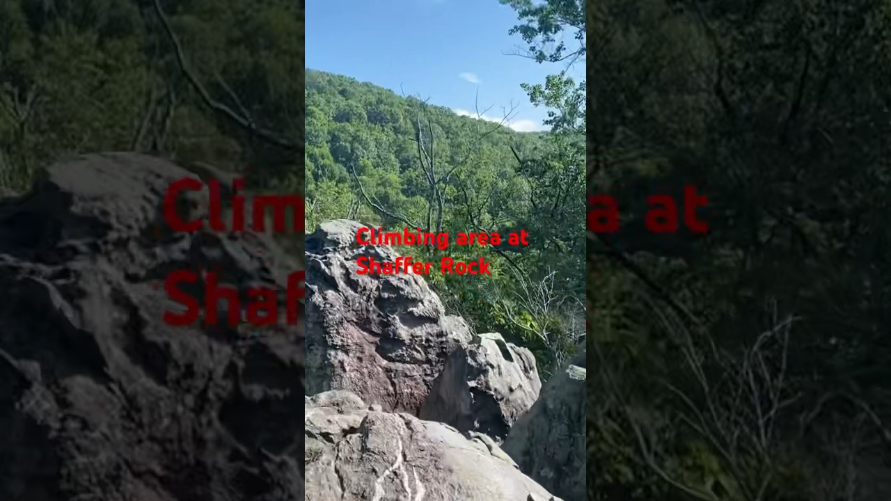 Climbing area at Shaffer Rock in Michaux SF 