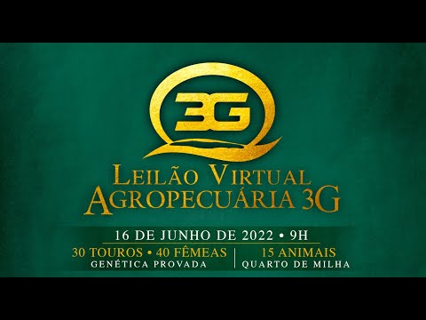 Lote 63   GHF 21 Copy