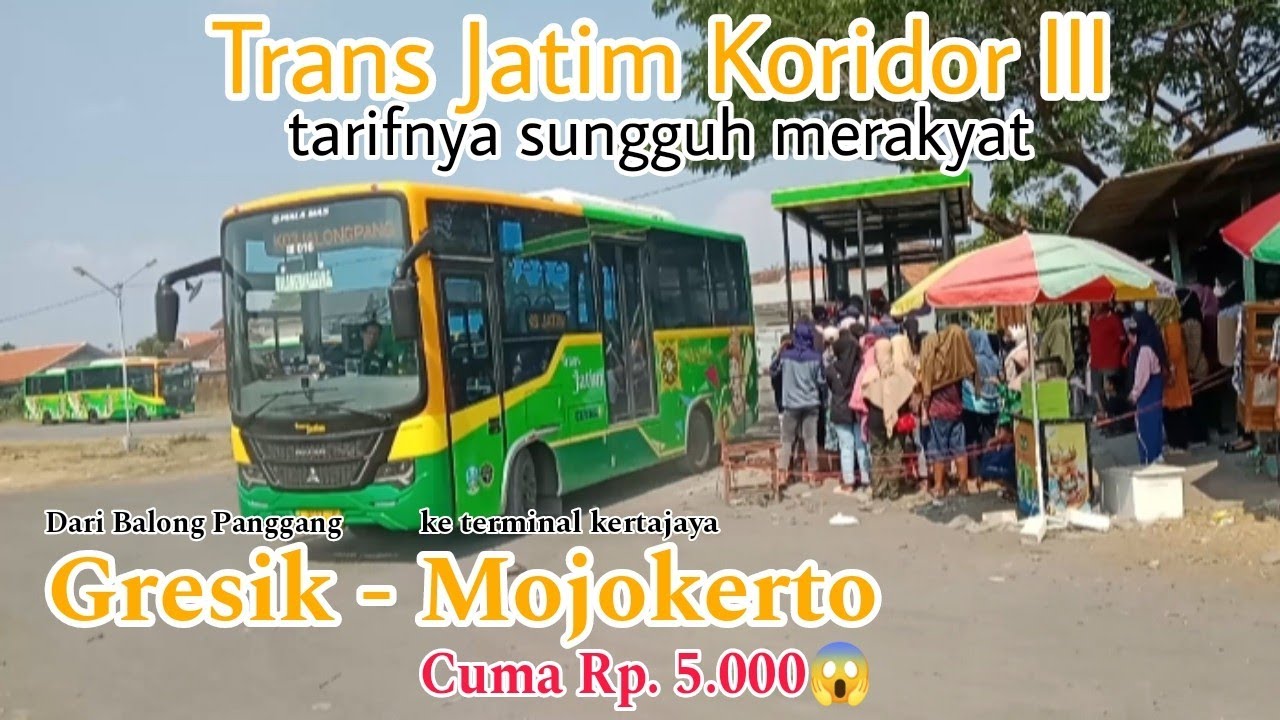 Trans jatim koridor 3 Naik dari Balong panggang (Gresik) menuju terminal kertajaya (Mojokerto)