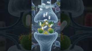 “PAM Injection (Pralidoxime) explained: #NursingEducation #MedicalEducation #PatientC #usa #science