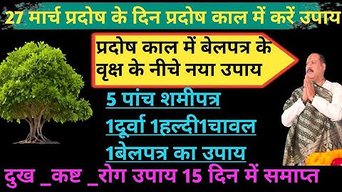 DAY_श्री शिव महापुराण कथा जशपुर का नया उपाय#पांच शमीपत्र एक दूर्वा और एक चावल का उपाय#pradosh kaal