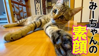 みーちゃんは一人になったら何をやってるの？