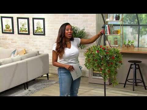 Qvc Outdoor Clearance
