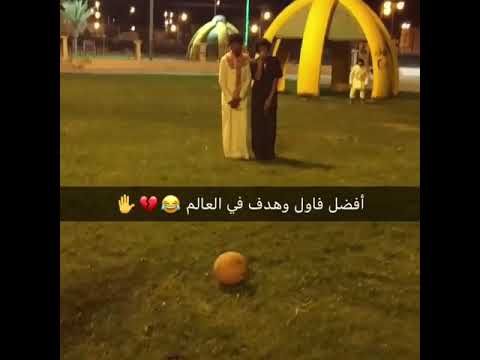 افضل فاول في العالم التعليق كلام