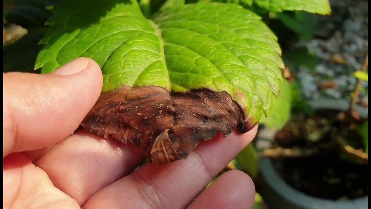 Telling they represent reverse an current what thou can be job use an