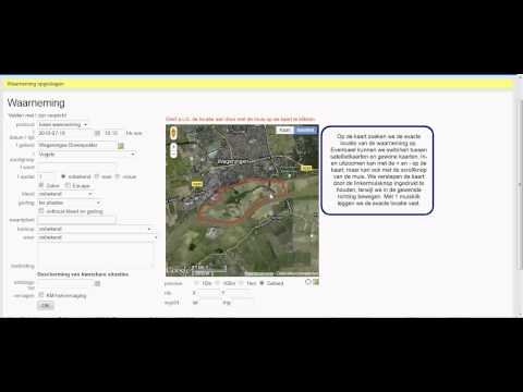 Hoe voer ik een waarneming in op Waarneming.nl?