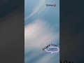 Teaser Lost in Germany - Odenwald freestyle sessions flywoo explorer o3 crash
