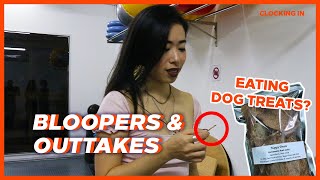 Eating Dog Treats - Animal Physiotherapist Funny Moments