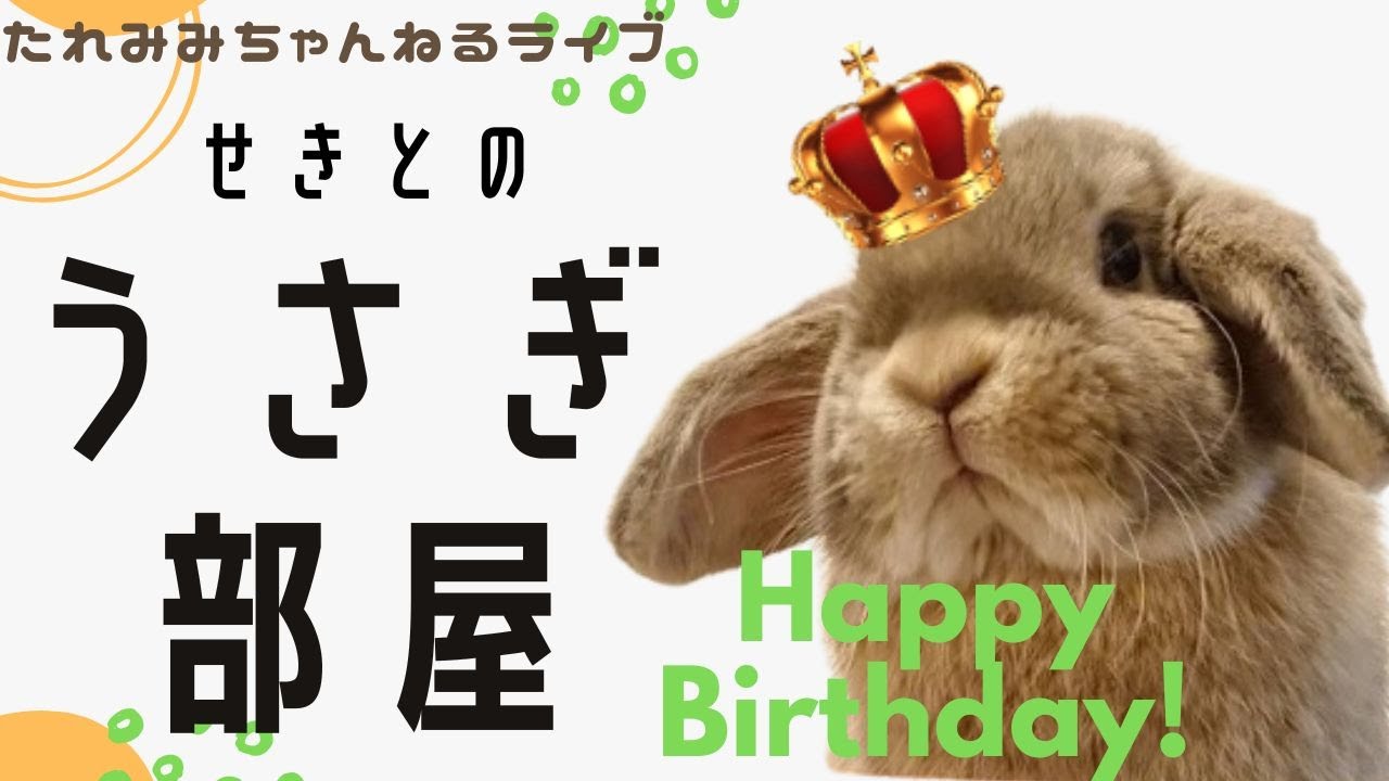 せきとのうさぎ部屋 お誕生日live 22年7月26日 Youtube