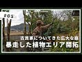 生い茂った植物を大胆に切りまくる｜古民家田舎暮らし