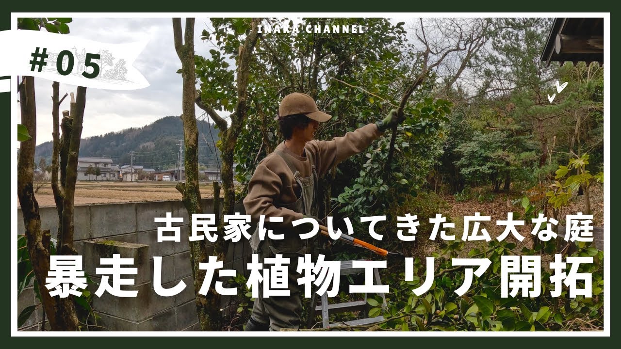 生い茂った植物を大胆に切りまくる|古民家田舎暮らし