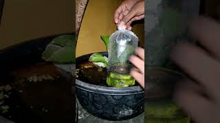 fish unboxing vlog episode-2🐠🐟 #trendingreels #newsong #fishfarm #bettafish #bettafishbreeding #tank