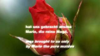 Es ist ein Ros entsprungen by Michael Praetorius, sung by a one-man multitrack choir