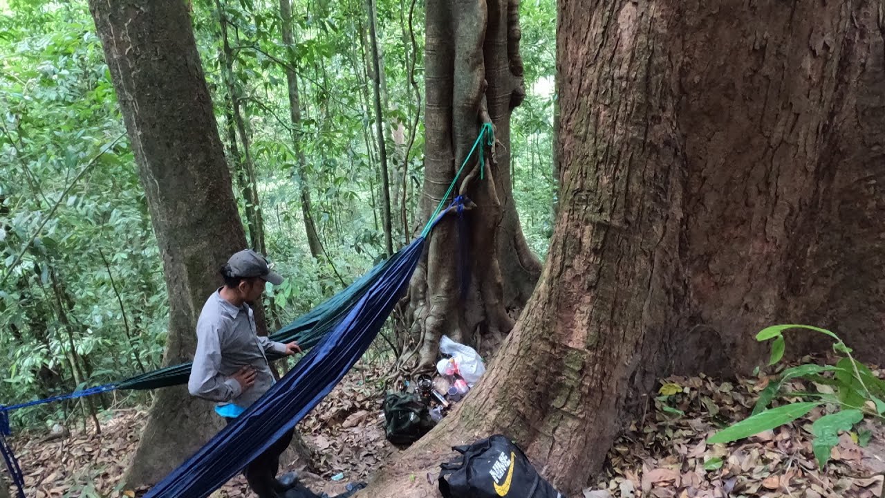 นอนต้นไม้ใหญ่ป่าลึกอาถรรพ์ ดึกดำบรรพ์ เจอฝูงนกยักษ์บินวนเวียน สัตว์ เสียงลึกลับแปลกๆน่ากลัวมากep.128