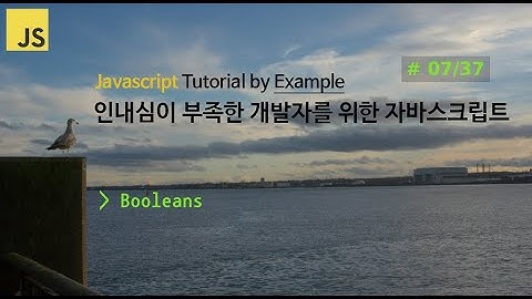 [7/37] Javascript, 인내심이 부족한 개발자를 위한 자바스크립트, 강의 강좌 비디오 튜토리얼 by Example,  Boolean