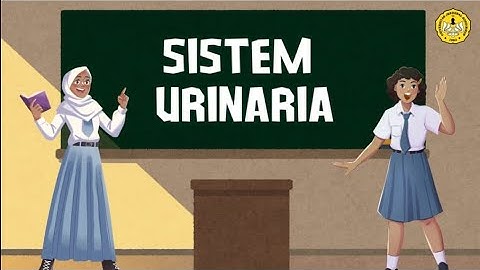 SISTEM URINARIA | VIDEO ANIMASI KEL. 6 KESMAS B 2025