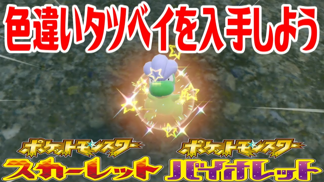 ポケモンSV】色違いタツベイを入手しよう【ポケットモンスター