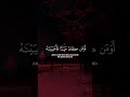 🎧 ↴❒Surah Al-An'am | verses 122 ❒Rezitator | Yasser Al-Dosari