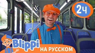 Блиппи изучает автобус | Обучающие видео для детей | Blippi Russian