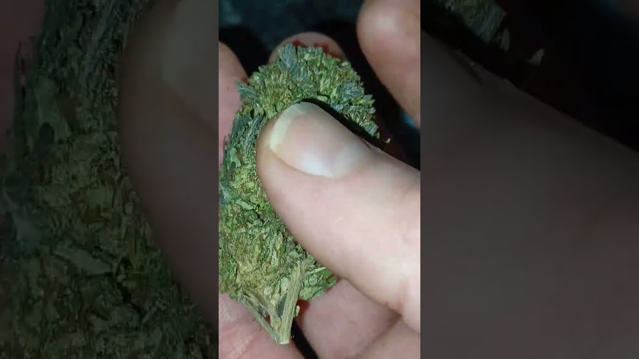 Sour Apple Pie and Platinum Bubba,  25Hour Farms (are they good?)