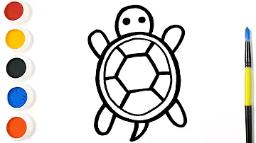 Comment on dessine les tortues ?