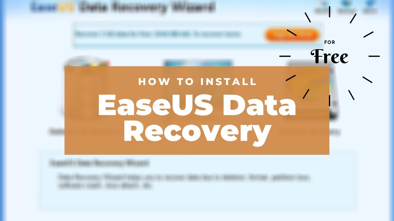 how to use easeus data recovery wizard professional