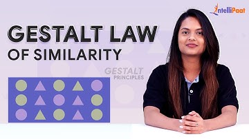 Gestalt Law of Similarity | Gestalt Principle of UX Design | UI UX Designing | Intellipaat