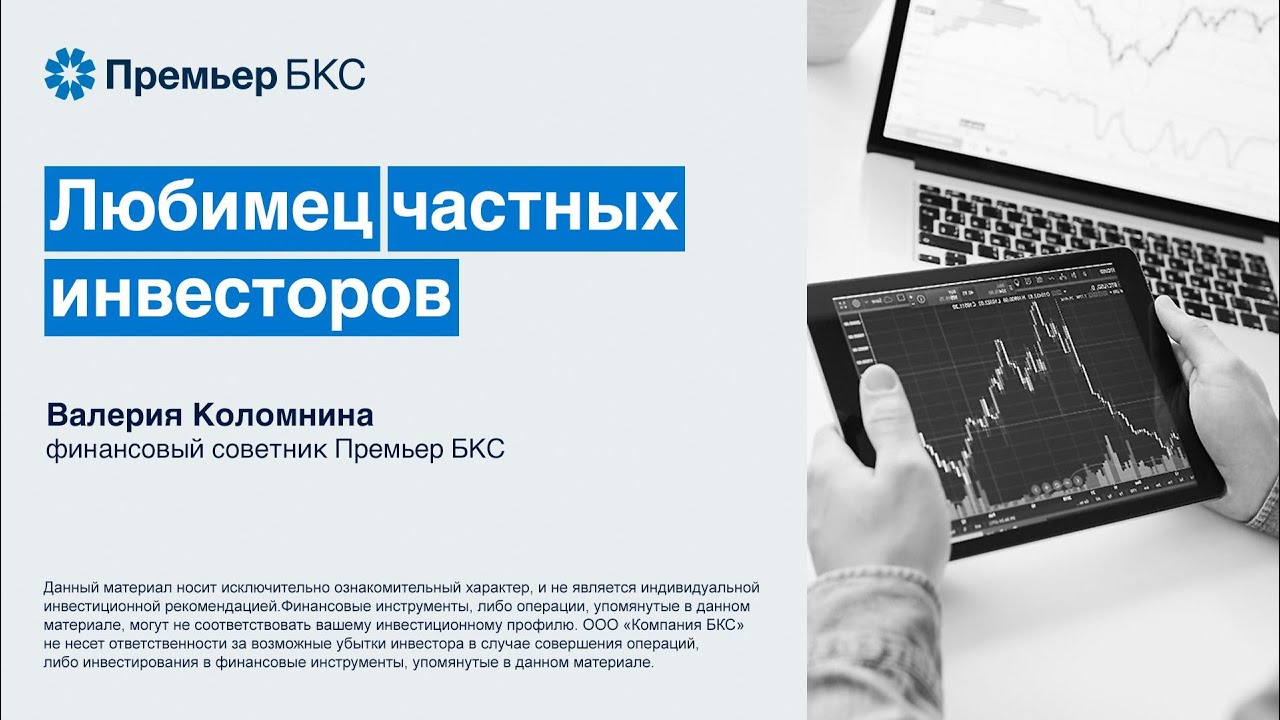 Частный российский инвестор. Частный инвестор.