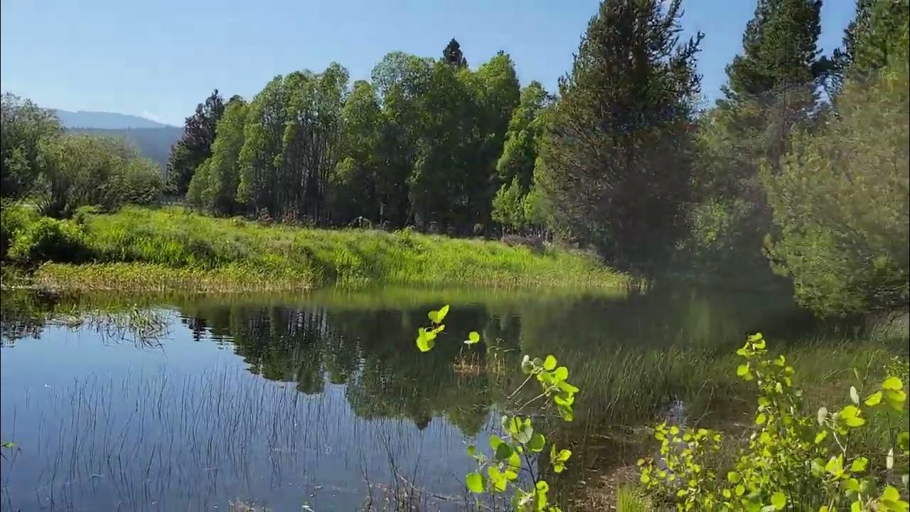 62022, Rocky Point, Oregon YouTube