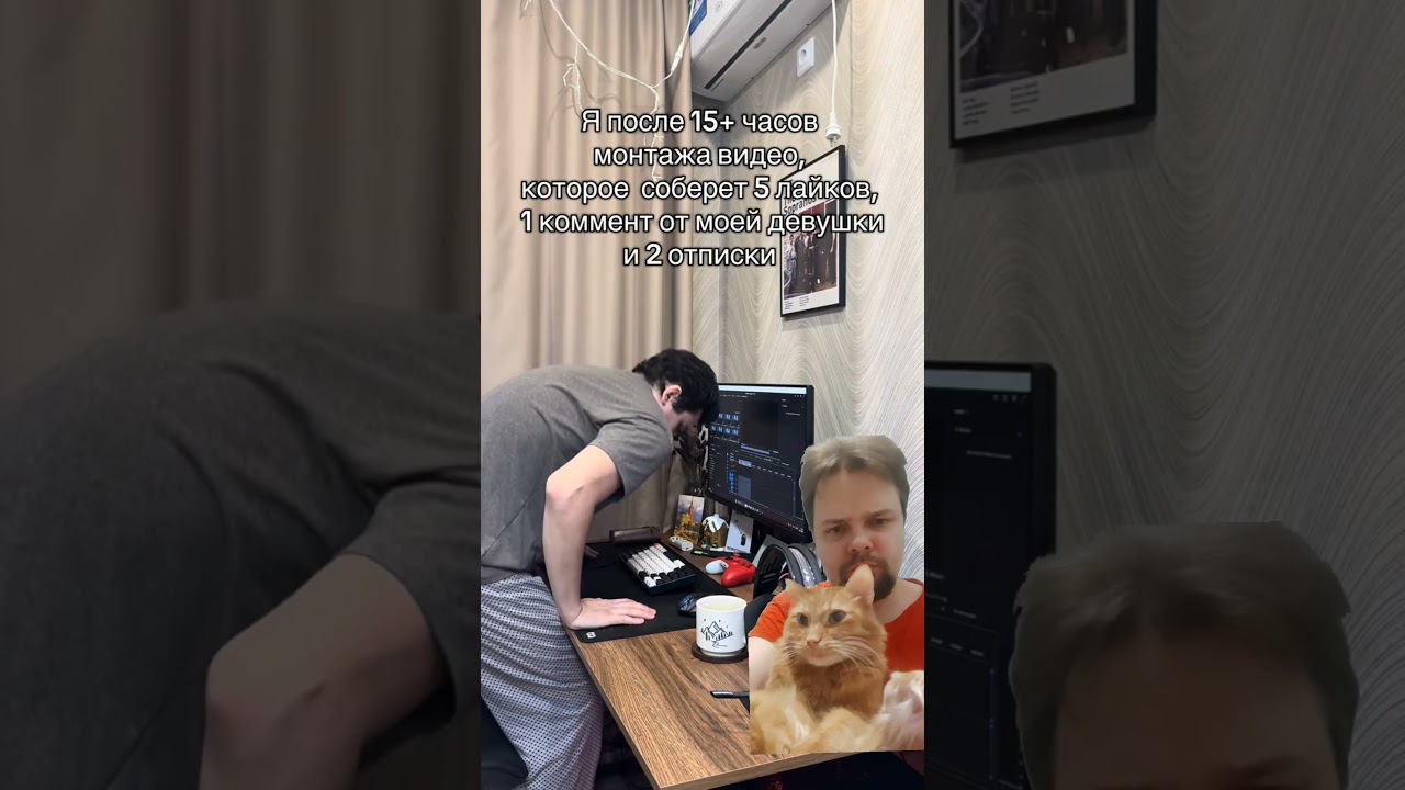 Показал коту Фоме ролик про хруст в спине после монтажа.