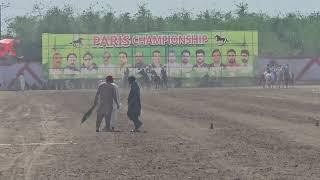 Paris championship dhol Ranjha mandi