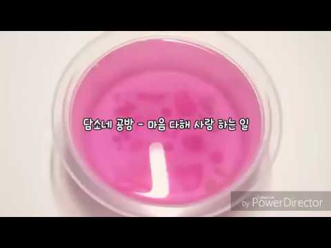 D : 담소네 공방 - 그댄 정말 나빠요 || 가사 쓰기 ||  류씽님 영상 || 초반 환영 || 로뚀 ||