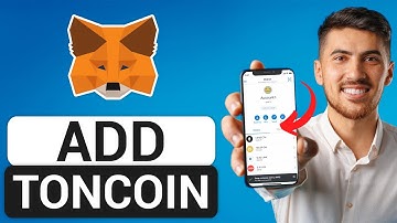 How To Easily Add Toncoin To Metamask Wallet (Updated 2024)