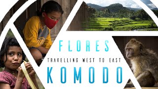 Flores & Komodo, Indonesia - Ultimate Travel & Dive Guide to best Places to Visit (Cinematic Video)