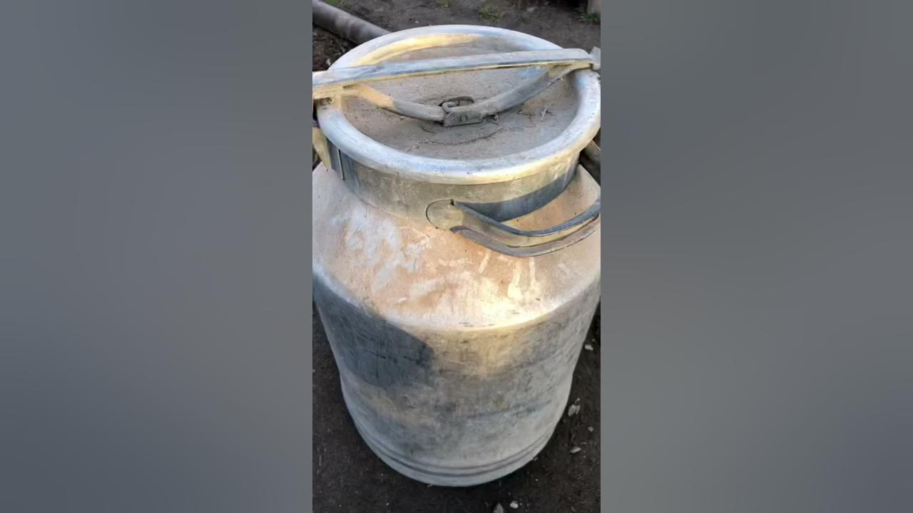 Коптильня горячего копчения из фляги. Коптильня из молочного бидона. Коптильня горячего копчения из алюминиевого бидона. Коптильня из фляги алюминиевой. Коптильня из фляги.