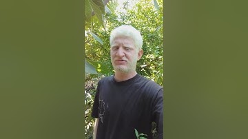 المال والبنون زينو الحياة الدنيا بصوت القارئ عامر جبو