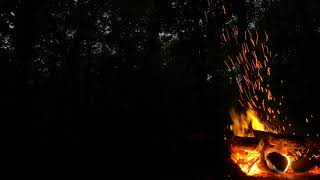 Dinlendirici Uyku Için Ateş Gece Sabah Orman