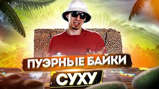 картинка: ПУЭРНЫЕ БАЙКИ // ГОРА СУХУ // ЧАЙ ШЕН ПУЭР // Лепка блинов в диких условиях
