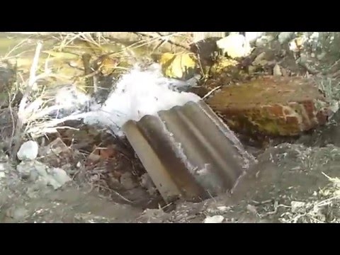 Свой пруд на даче. Выпускаем рака.