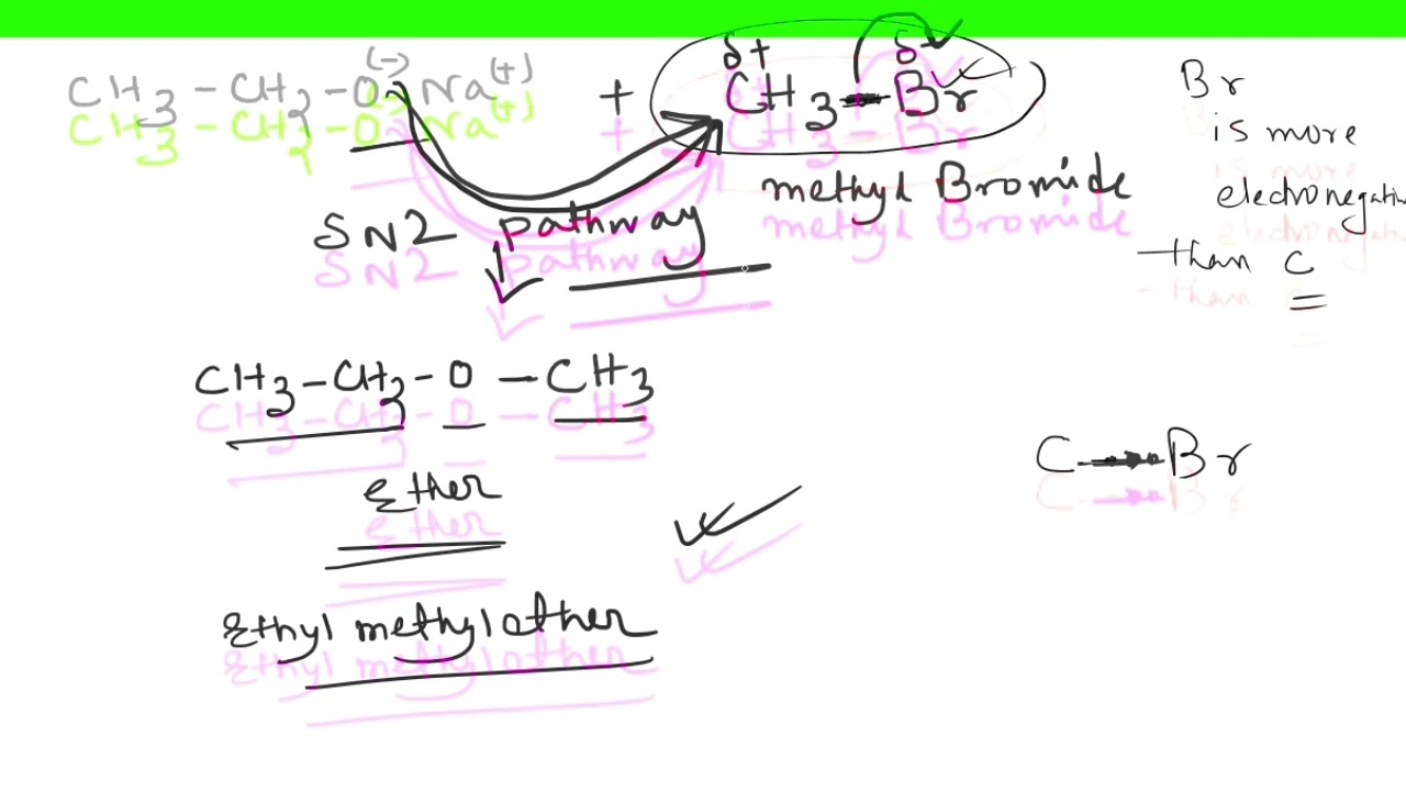 Mechanism of Williamson Ether Synthesis | Organic Chemistry