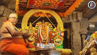 pavitrotsavam Satrumurai At Lower Ahobilam morning Day 3