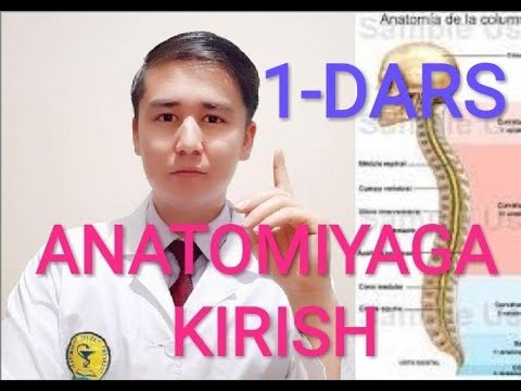 1-DARS ANATOMIYAGA KIRISH BIRINCHI BO'YIN UMURTQASI ATLAS ATLANT UZBEKTILIDA ПЕРВЫЙ ШЕЙНЫЙ ПОЗВОНОК